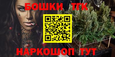 шишки Бердск
