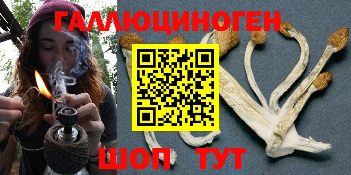 Псилоцибиновые грибы MAGIC MUSHROOMS  Усть-Кут 