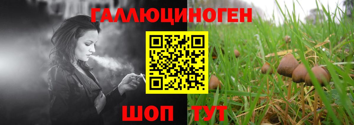 Псилоцибиновые грибы Magic Shrooms Усть-Кут