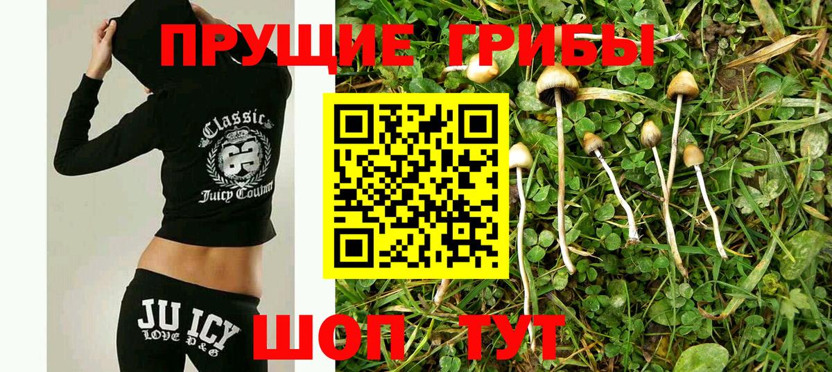 Псилоцибиновые грибы Cubensis  Псилоцибиновые грибы мицелий  Усть-Кут  Вход с VPN 