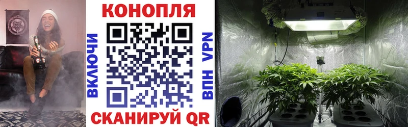 Шишки марихуана Amnesia наркота Усть-Кут